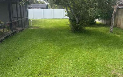 Photo of Allison B.'s yard after getting lawn care in Port Richey, FL
