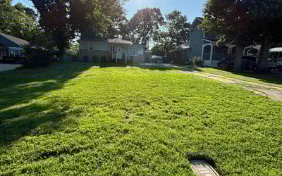 Photo of Brett L.'s yard after getting lawn care in Media, PA