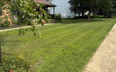 Photo of Danielle W.'s yard after getting lawn care in Hummelstown, PA