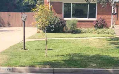 Photo of Kathy M.'s yard after getting lawn care in Ogden, UT
