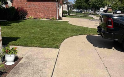 Photo of Kathy F.'s yard after getting lawn care in Crest Hill, IL