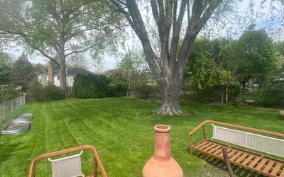 Photo of Jessie Z.'s yard after getting lawn care in Vernon Hills, IL