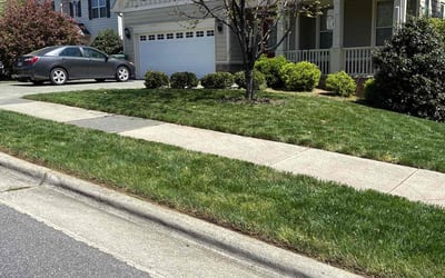 Photo of Tamara W.'s yard after getting lawn care in Franklinton, NC