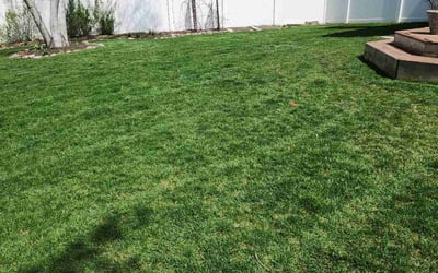 Photo of Willie T.'s yard after getting lawn care in Cary, IL