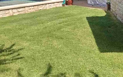 Photo of Luis H.'s yard after getting lawn care in Burleson, TX