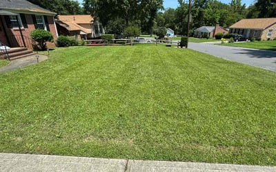 Photo of Larissa G.'s yard after getting lawn care in Columbus, OH