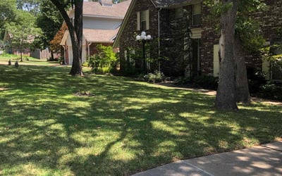 Photo of Steven W.'s yard after getting lawn care in Coweta, OK
