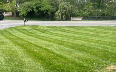 Photo of Jason T.'s yard after getting lawn care in La Grange, KY