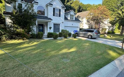 Photo of Rene M.'s yard after getting lawn care in Mount Pleasant, SC