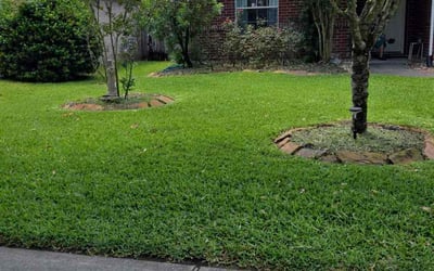 Photo of Cindy B.'s yard after getting lawn care in Conroe, TX
