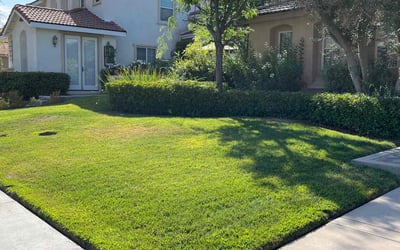 Photo of Steven S.'s yard after getting lawn care in Temecula, CA