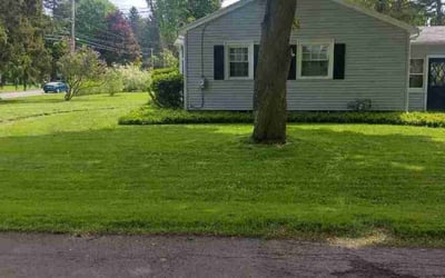 Photo of Tony K.'s yard after getting lawn care in Martinez, CA
