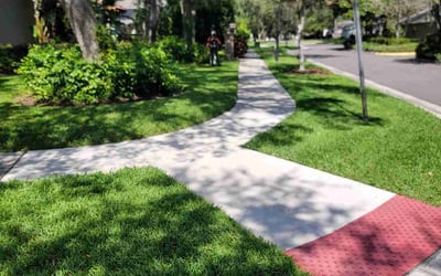 Photo of Lauren P.'s yard after getting lawn care in Tampa, FL