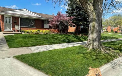 Photo of Nick S.'s yard after getting lawn care in Niles, MI