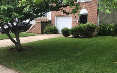 Photo of Noah W.'s yard after getting lawn care in Toledo, OH