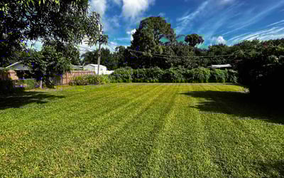 Photo of keith e.'s yard after getting lawn care in Fort Pierce, FL