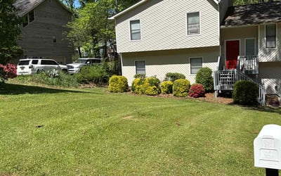 Photo of Lisa H.'s yard after getting lawn care in Acworth, GA