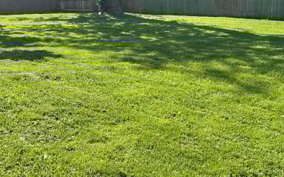 Photo of Philipa Y.'s yard after getting lawn care in Reynoldsburg, OH