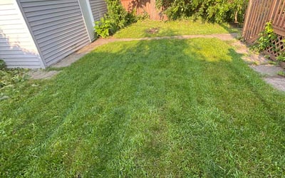 Photo of Tamika W.'s yard after getting lawn care in Saint Paul, MN
