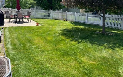 Photo of Blair D.'s yard after getting lawn care in Sun Prairie, WI