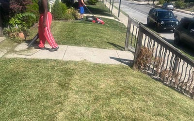 Photo of Arlene S.'s yard after getting lawn care in Crofton, MD
