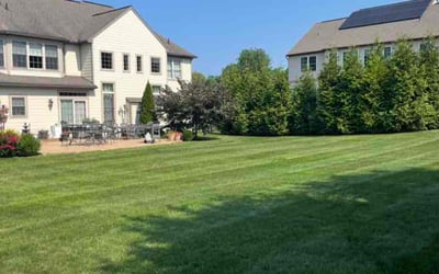 Photo of Sharon L.'s yard after getting lawn care in Shippensburg, PA