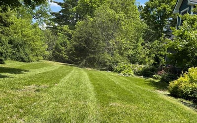 Photo of Norelie P.'s yard after getting lawn care in Brighton, MI