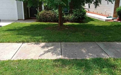 Photo of Tiffani W.'s yard after getting lawn care in Waterbury, CT