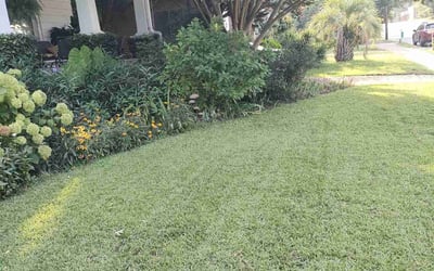 Photo of Russell J.'s yard after getting lawn care in East Point, GA