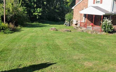 Photo of Eleanor W.'s yard after getting lawn care in Hermitage, PA