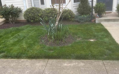 Photo of Dennis S.'s yard after getting lawn care in Brambleton, VA