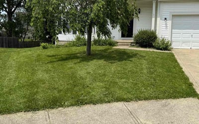 Photo of Matt R.'s yard after getting lawn care in Dayton, TX