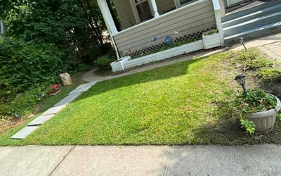 Photo of Lori T.'s yard after getting lawn care in South Richmond Hill, NY