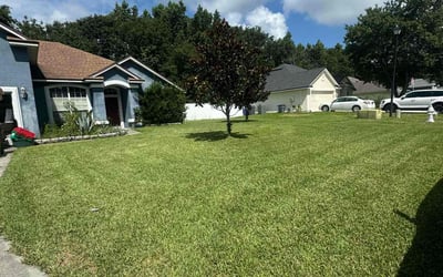Photo of Brooke k.'s yard after getting lawn care in Wenatchee, WA