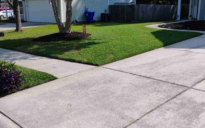 Photo of Bri V.'s yard after getting lawn care in Killeen, TX