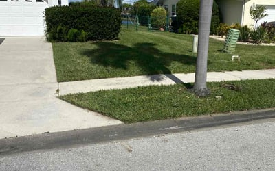 Photo of Barbara B.'s yard after getting lawn care in Fort Myers, FL