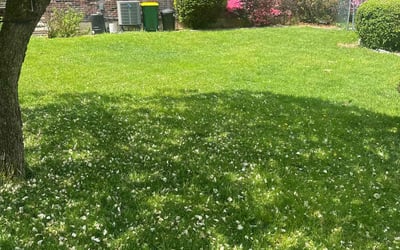 Photo of Sienna S.'s yard after getting lawn care in Macungie, PA