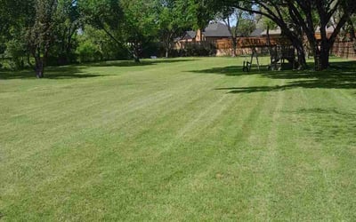 Photo of Cindy D.'s yard after getting lawn care in Bedford, NH