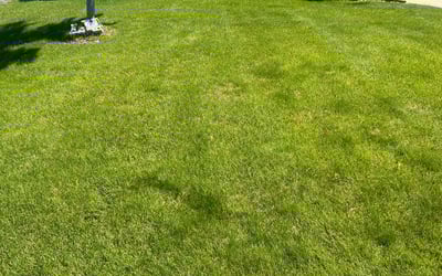 Photo of Anab A.'s yard after getting lawn care in Plymouth, MN