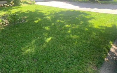 Photo of Carol M.'s yard after getting lawn care in Apple Valley, MN