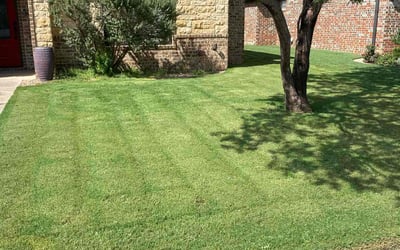 Photo of Ramon O.'s yard after getting lawn care in Odessa, TX