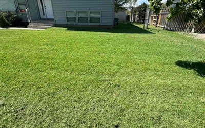 Photo of Lana M.'s yard after getting lawn care in Clinton, UT