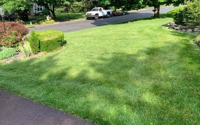 Photo of Steve C.'s yard after getting lawn care in Harleysville, PA