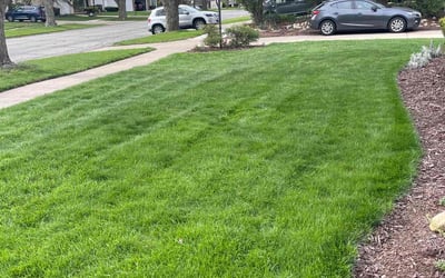 Photo of Michelle W.'s yard after getting lawn care in Washington, IL