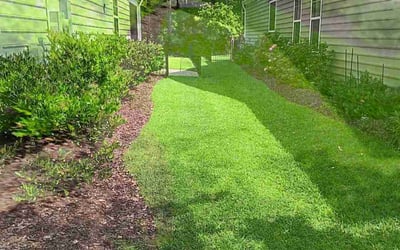 Photo of George R.'s yard after getting lawn care in Myrtle Beach, SC