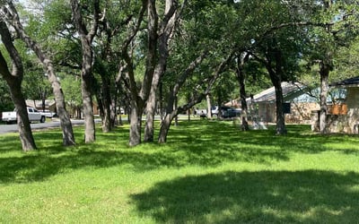 Photo of Durga P.'s yard after getting lawn care in Georgetown, TX