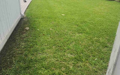 Photo of Dominique C.'s yard after getting lawn care in Arlington, TX