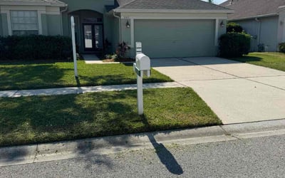Photo of Ruth H.'s yard after getting lawn care in Wesley Chapel, FL