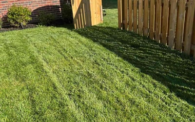 Photo of Aaron R.'s yard after getting lawn care in Rockford, IL