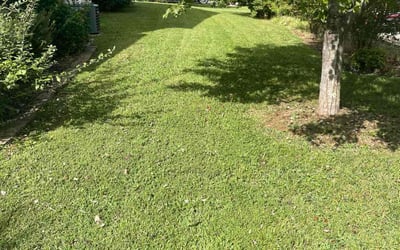Photo of Kalead B.'s yard after getting lawn care in Madison, NC